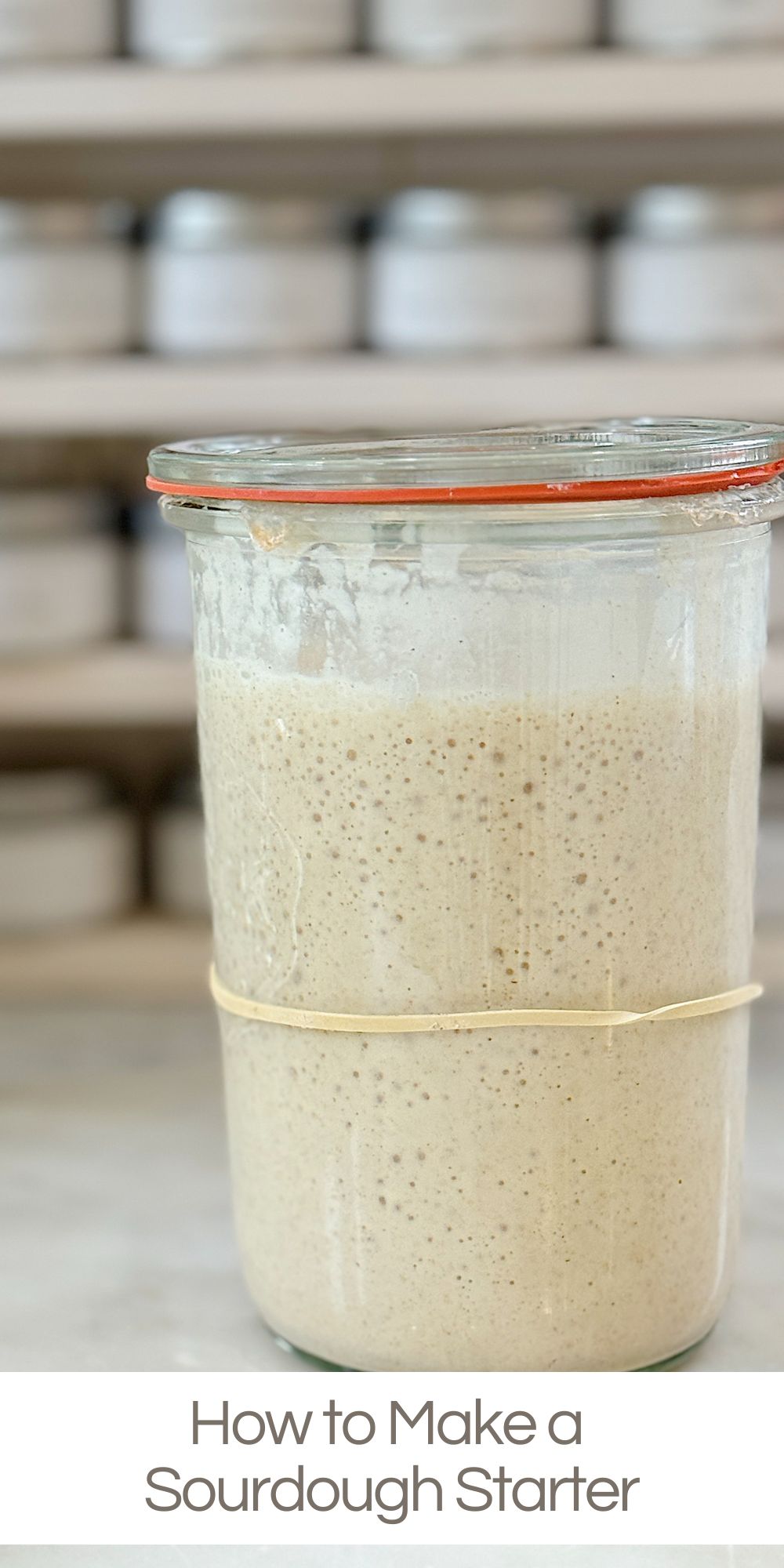 Making a sourdough starter is a simple yet rewarding process. It transforms flour and water into a powerful leavening agent that can create delicious, naturally risen bread.