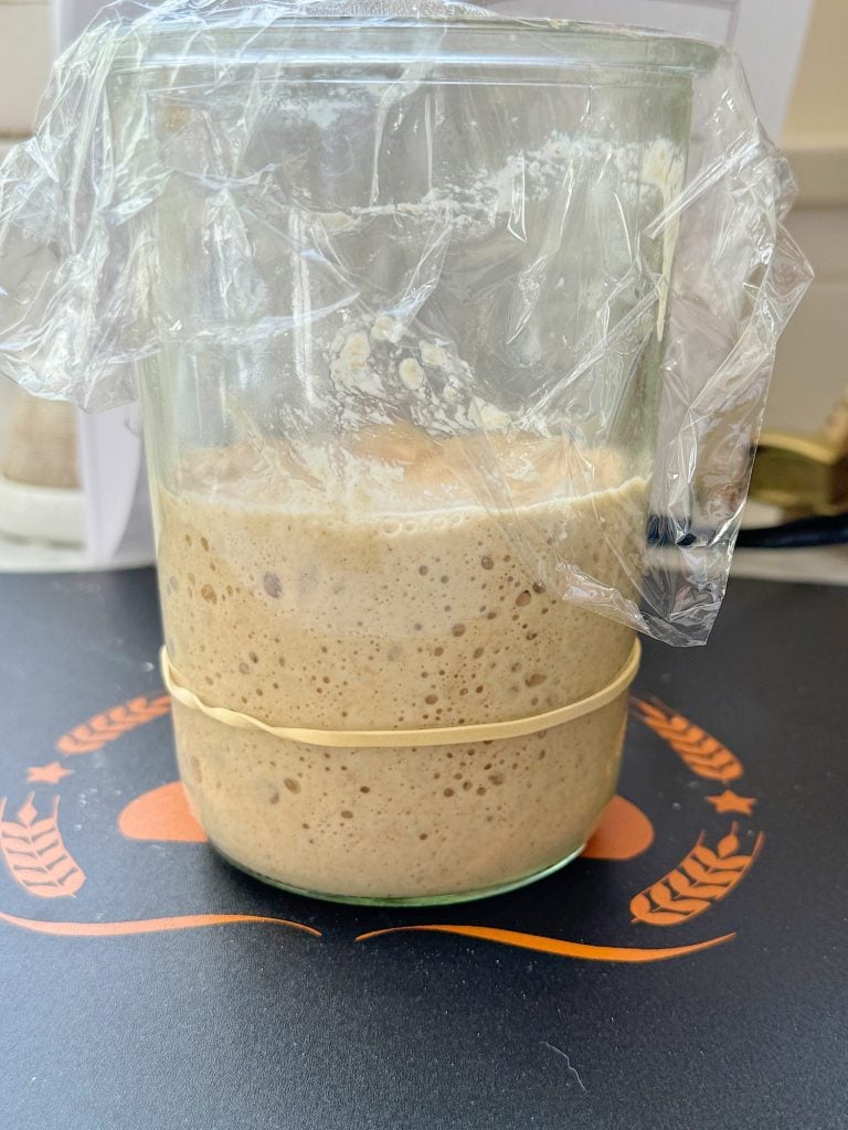 Glass container with sourdough starter wrapped in plastic wrap on a heated mat, monitored by a digital thermostat controller.