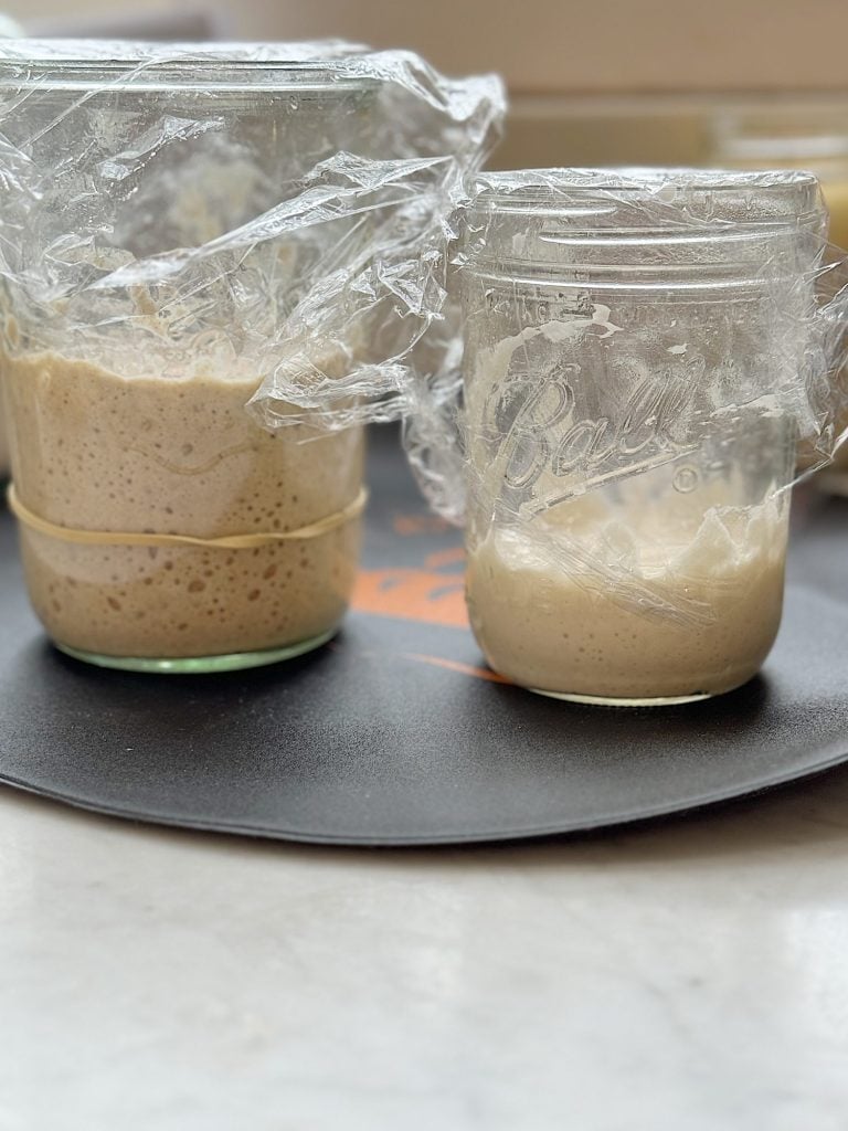 Two glass jars covered with plastic wrap contain bubbly sourdough starter, placed on a black surface.