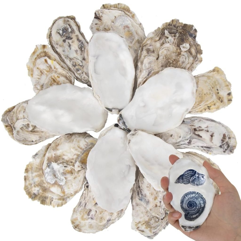 A hand holds a shell with a blue spiral pattern, surrounded by a circle of opened oyster shells.