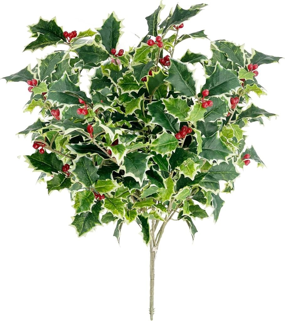 A cluster of holly branches with green leaves and red berries.