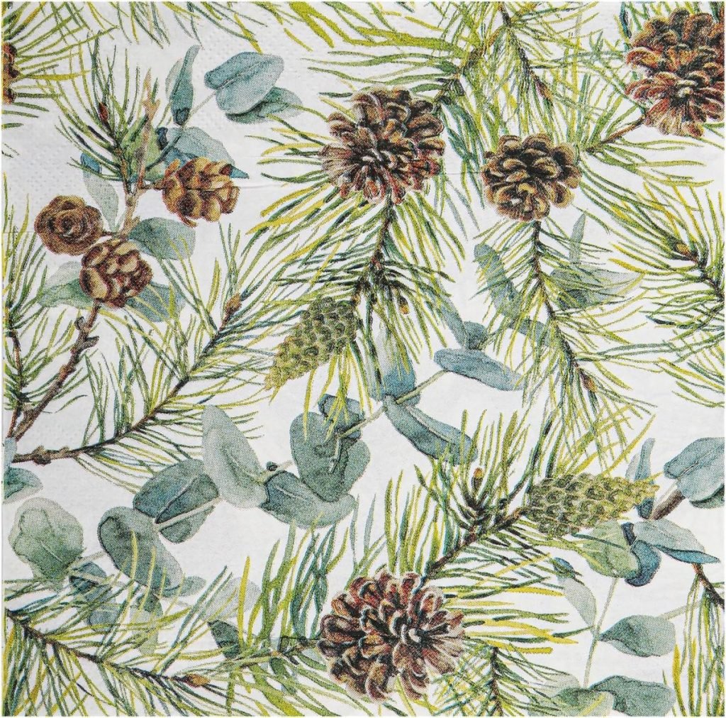 Illustration of pine branches with needles, cones, and eucalyptus leaves on a white background.