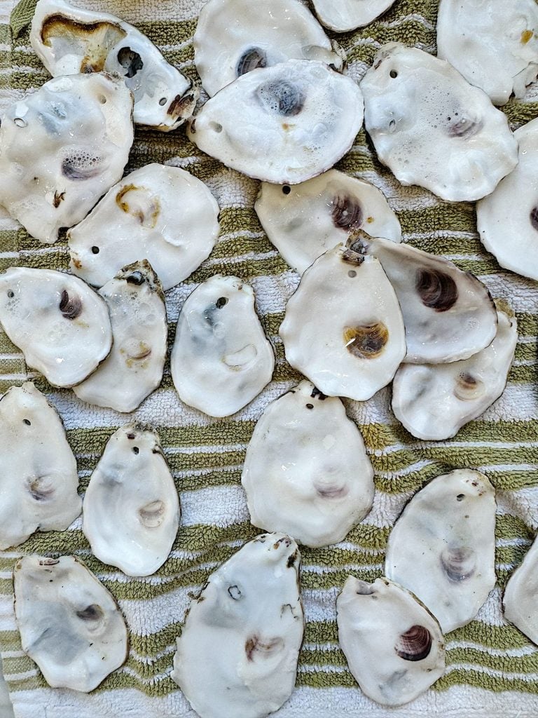 A collection of empty oyster shells spread out on a striped towel.