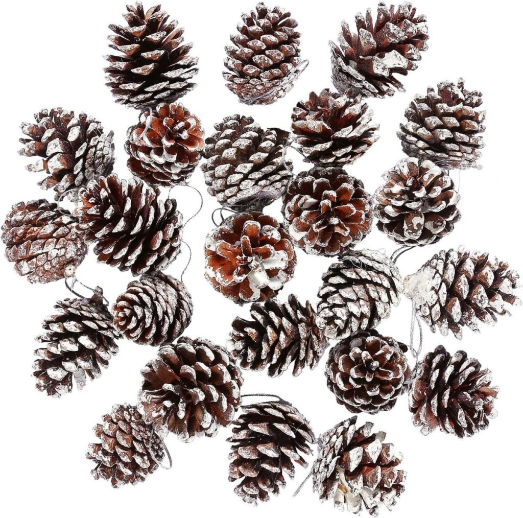 A collection of frosted pine cones evokes the essence of Christmas joy, arranged randomly on a pristine white background.