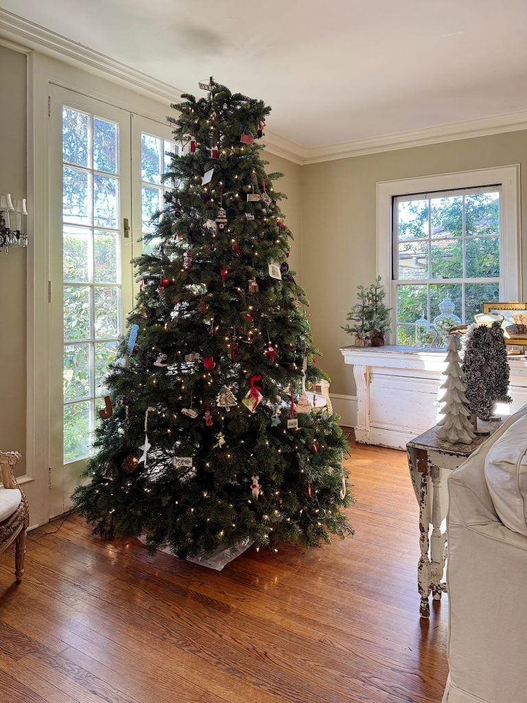 A decorated Christmas tree stands in a corner of a bright living room with wooden floors and a window.