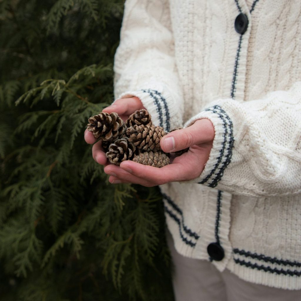 Person in a knitted sweater holding several pinecones in both hands, standing next to green foliage.