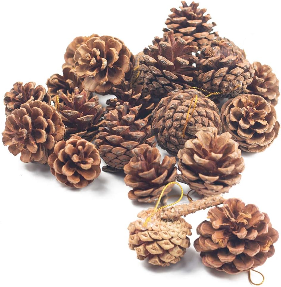 A pile of brown pinecones, some with attached gold strings for hanging.