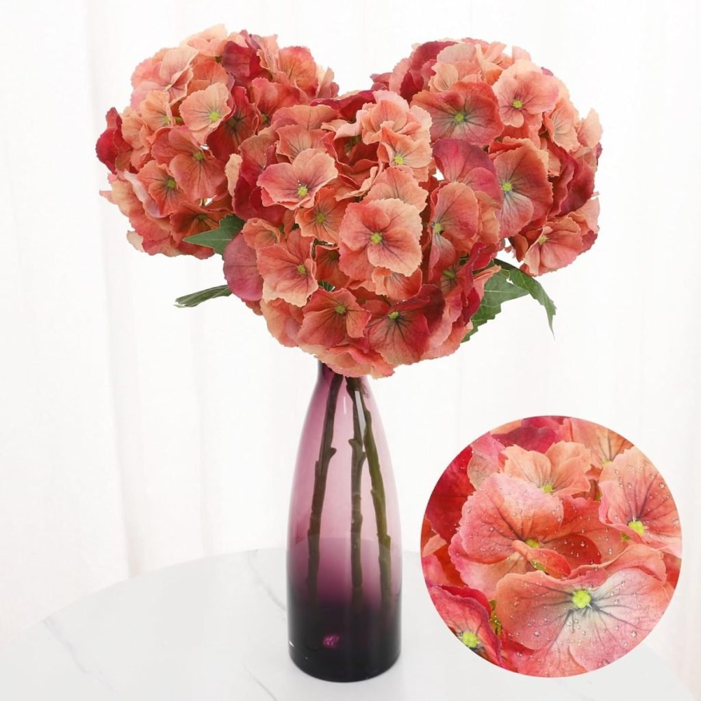 A tall, gradient pink vase holds a bouquet of peach hydrangeas on a white surface. A close-up highlights the veiny petals with a touch of water droplets.