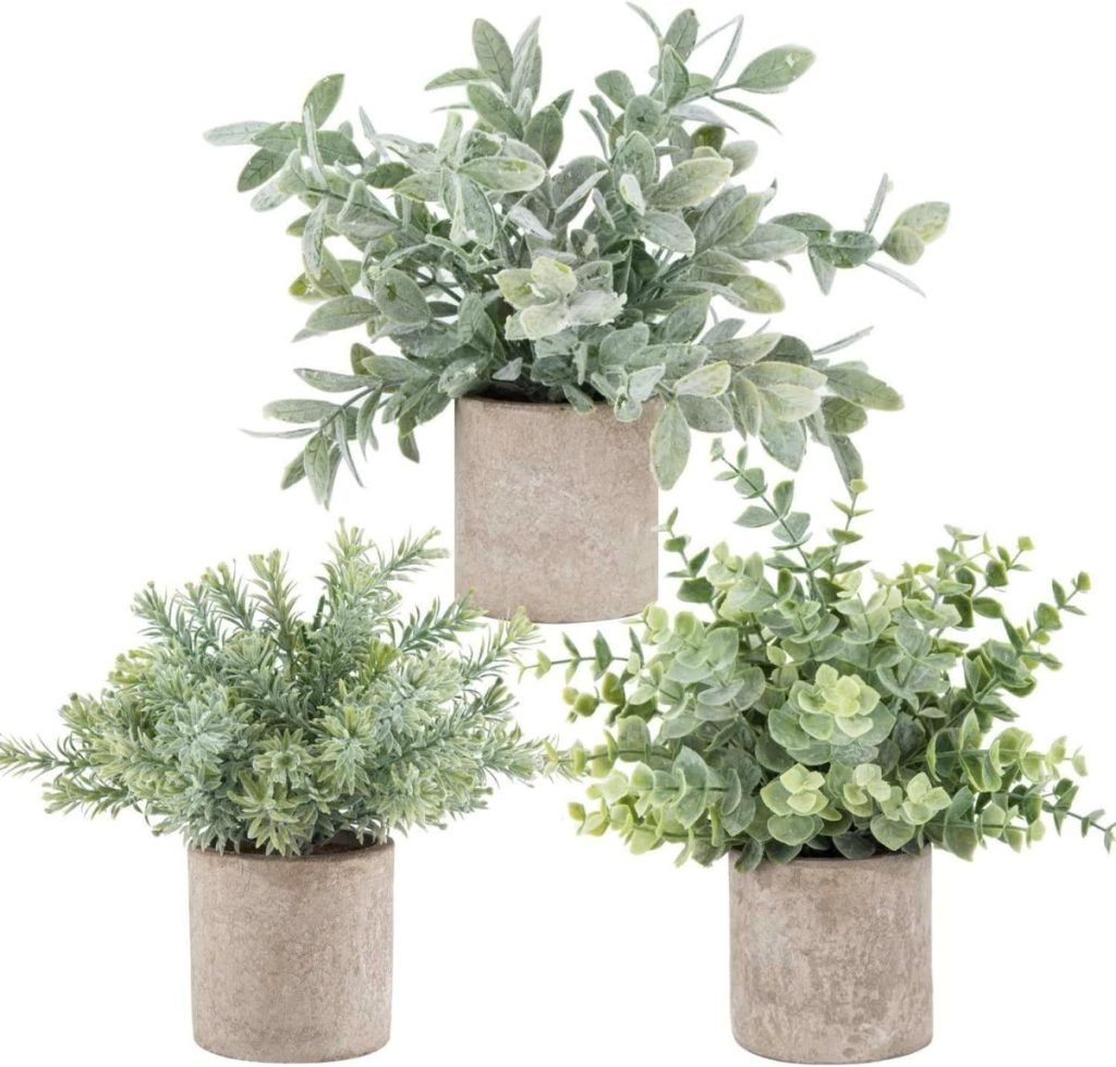 Three small potted plants with various green foliage, nestled in rustic tan pots, perfectly complement the open kitchen shelving as they are arranged in a charming triangular formation.