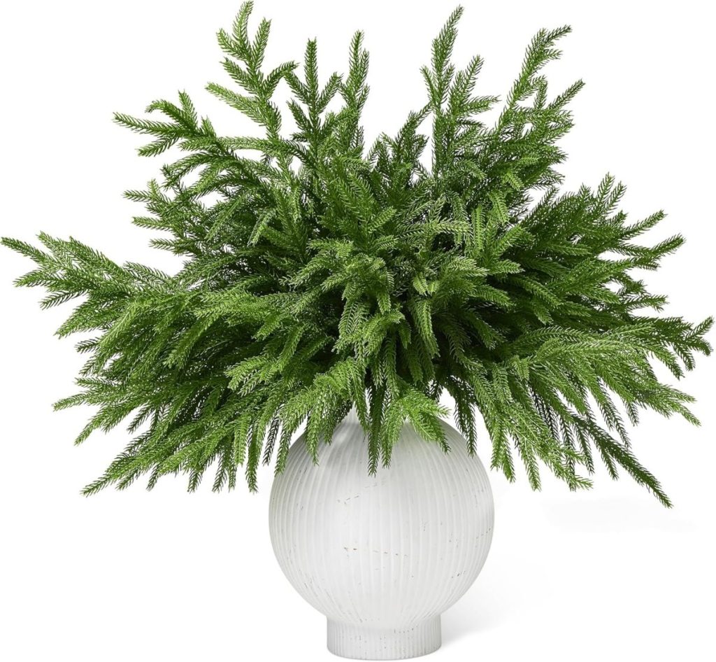 A white, round air dry clay vase holds an arrangement of lush, green feathery foliage with branches spreading outward in all directions.