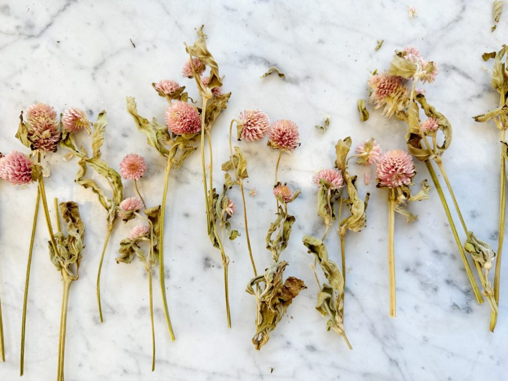 Dried pink flowers with green stems and leaves arranged on a white marble surface.