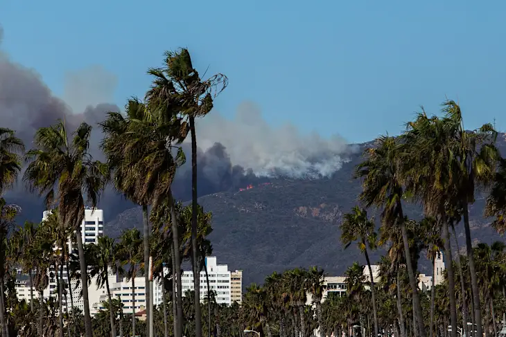 Smoke rises from a wildfire on a hillside, with palm trees and buildings in the foreground under a clear blue sky.