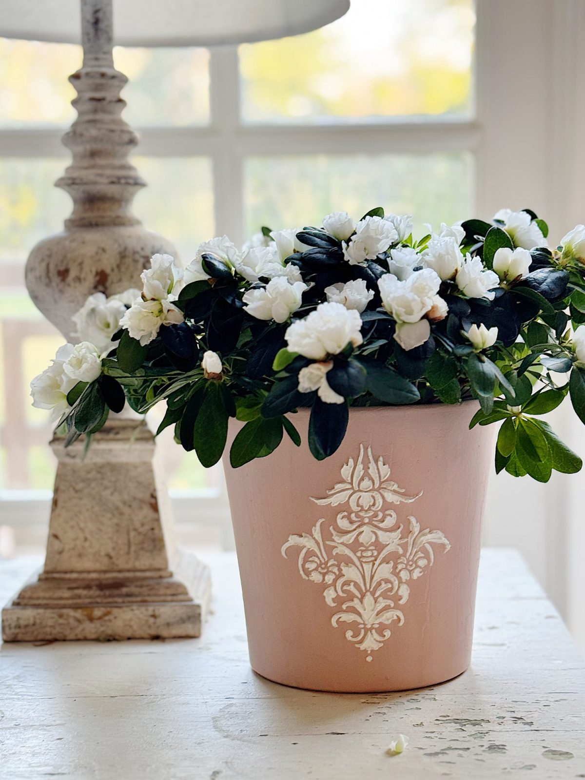 A decorative pink pot with white floral design holds blooming white flowers. It is placed on a light-colored table beside a tall lamp, in front of a window.