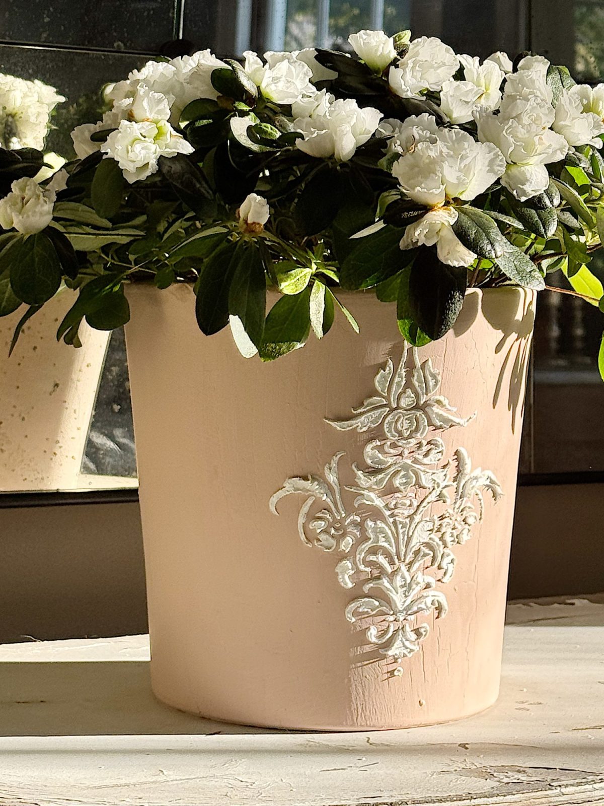 A potted plant with white flowers and green leaves in an ornate beige pot with embossed floral patterns, placed on a light-colored surface.