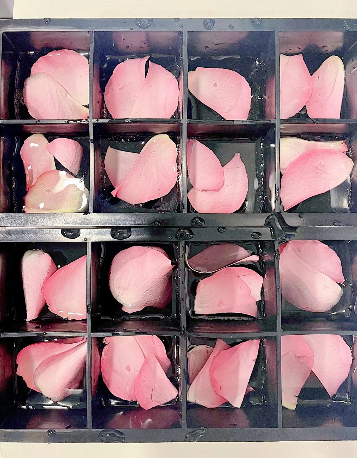 A black plastic grid holds scattered pink rose petals with droplets of water on them.