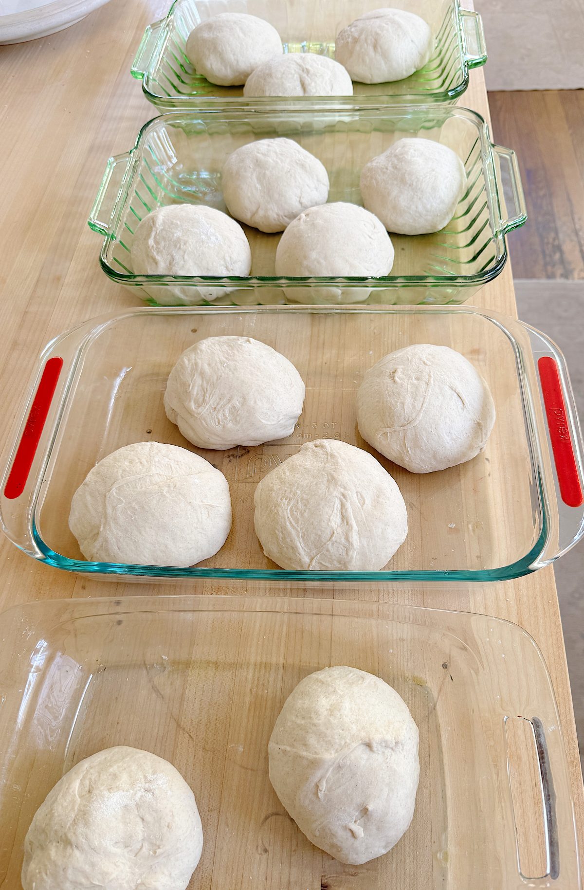 Five glass baking dishes, each containing round dough balls, are arranged on a wooden surface.