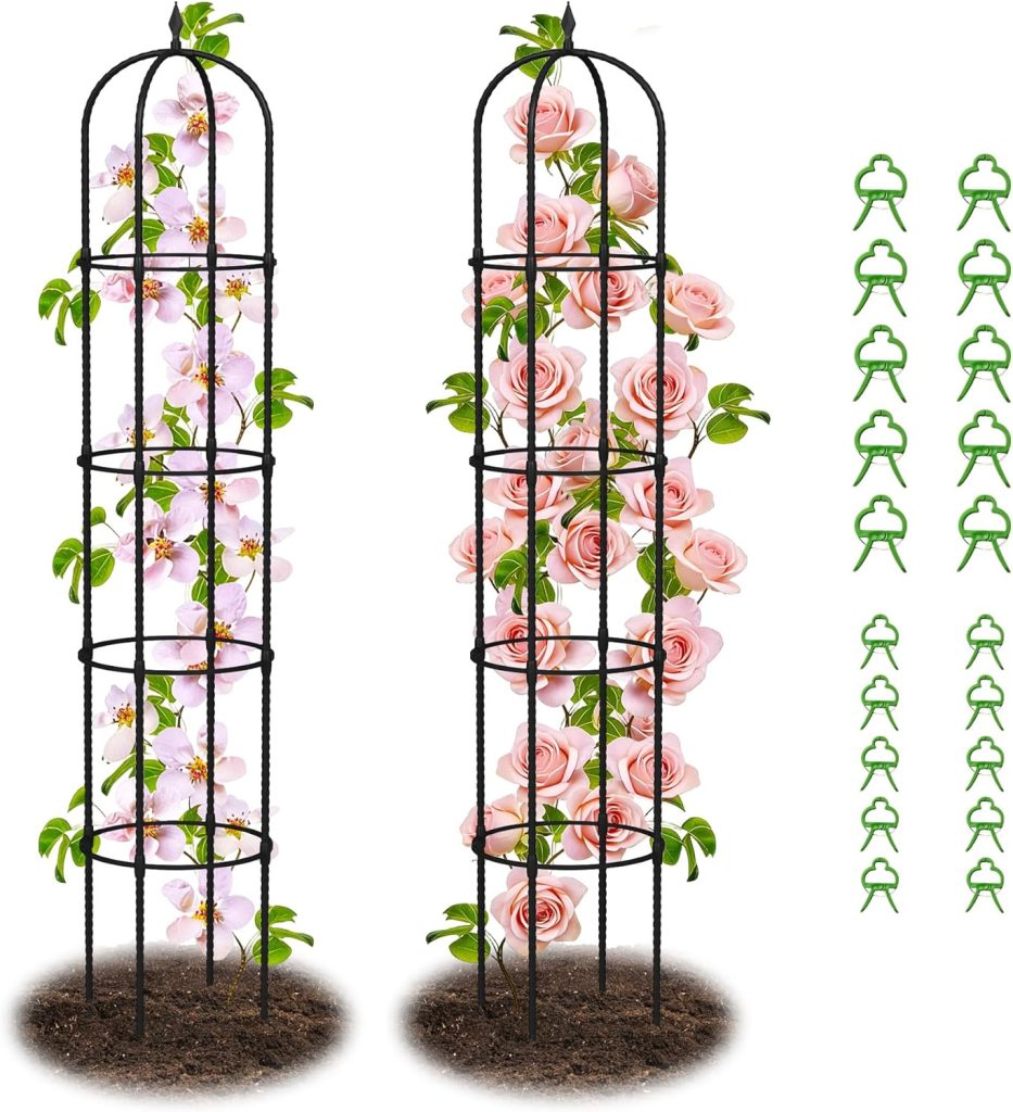 Two black metal garden trellises with flowering vines and roses are shown planted in soil, perfect for supporting plants in your kitchen garden. Green plant clips are displayed to the right.
