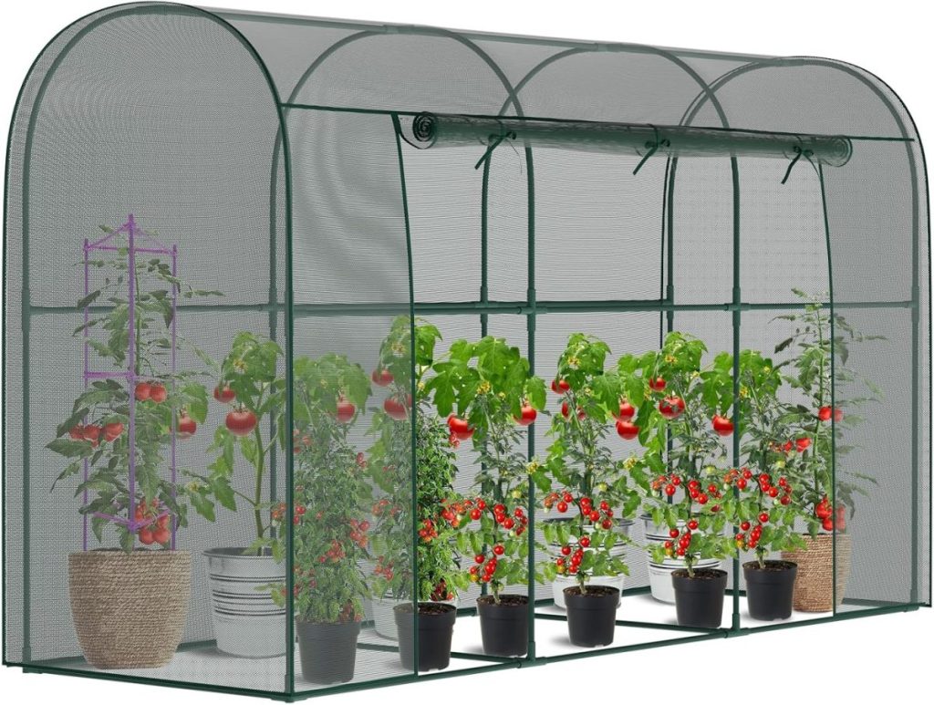 A green mesh greenhouse in a kitchen garden contains potted tomato plants with ripe red tomatoes and plant supports inside.