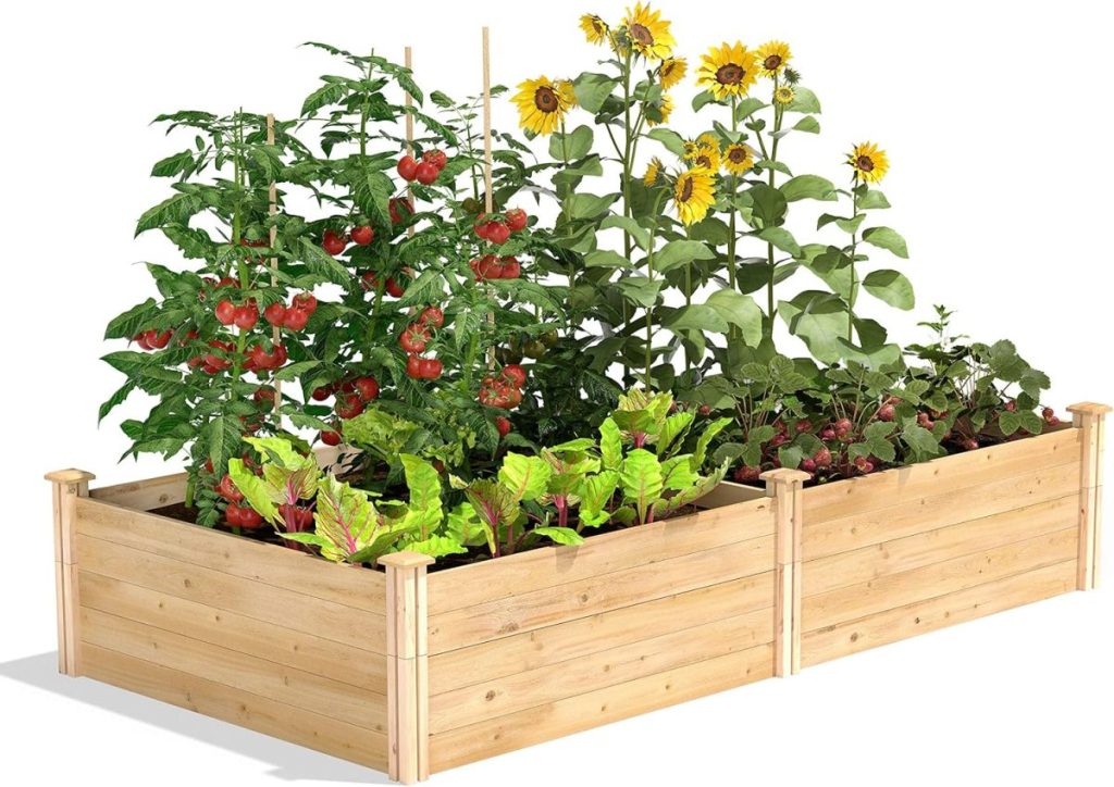 A wooden raised kitchen garden bed with thriving tomato plants, leafy greens, sunflowers, and a variety of other vegetables.