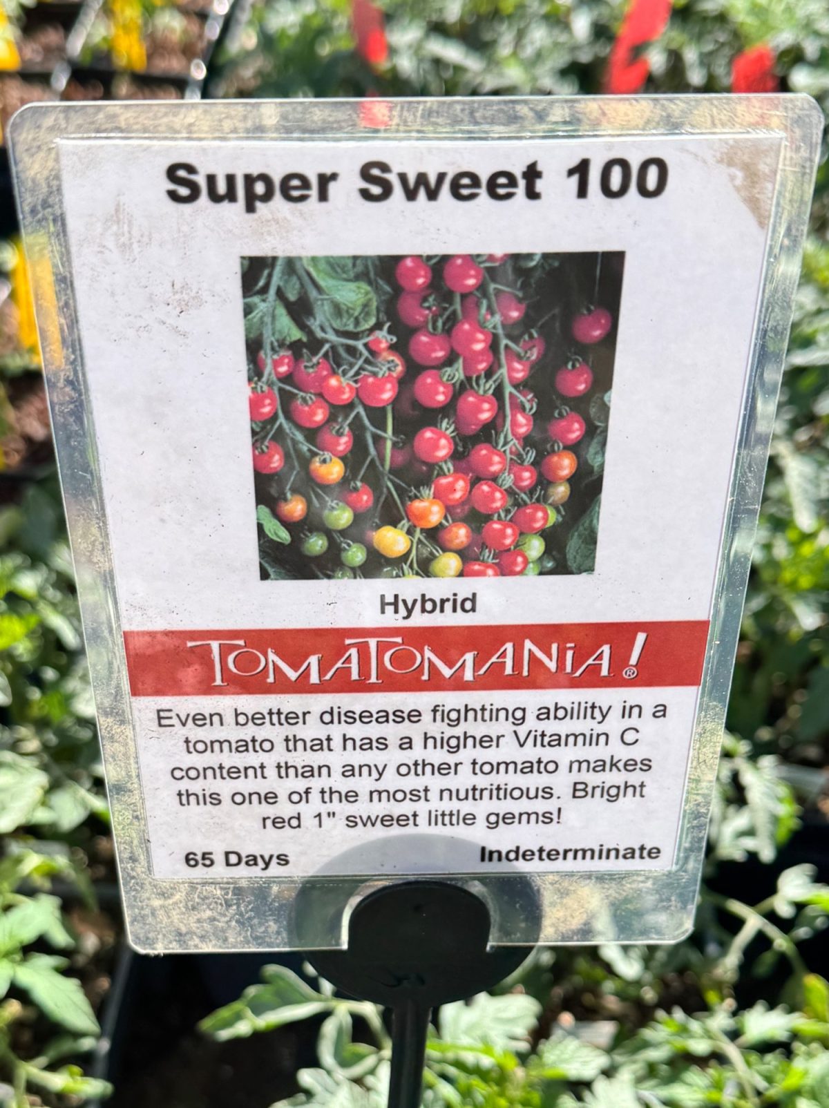 Sign labeled "Super Sweet 100" showing a cluster of cherry tomatoes on a vine, with descriptions about high Vitamin C content. Signage is under the brand "Tomatomania!.
