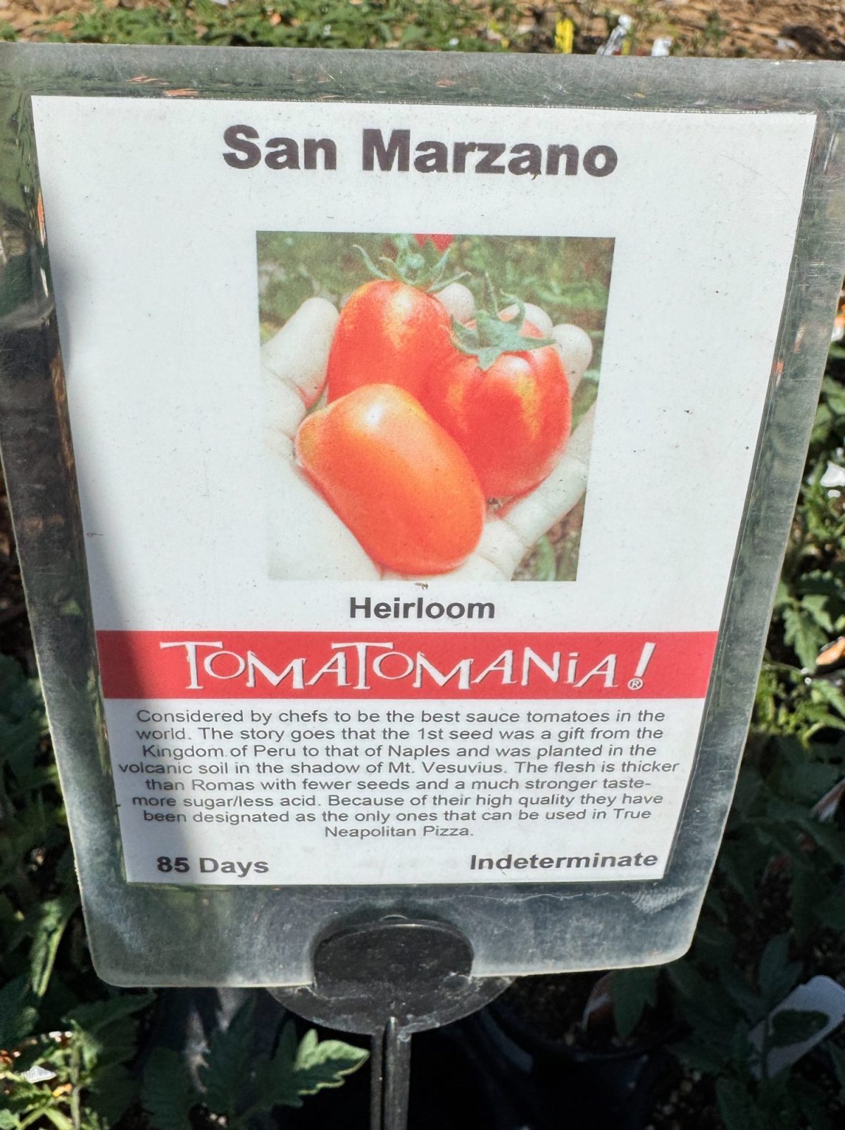 Sign displaying information about San Marzano heirloom tomatoes, highlighting their origin, flavor, and use in Neapolitan pizza. Contains a photo of ripe San Marzano tomatoes.