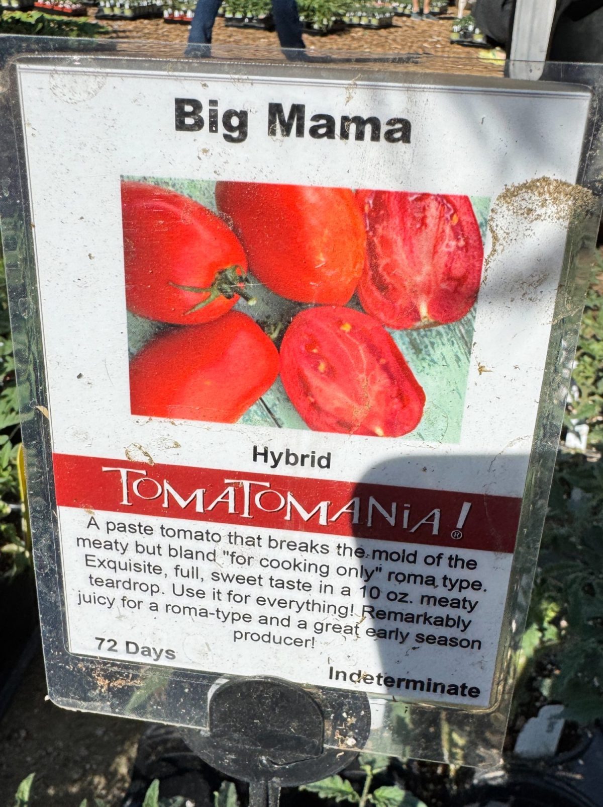 Sign showing "Big Mama" tomatoes with images and text describing them as a hybrid, sweet, juicy, and distinct from typical roma tomatoes. Harvest in 72 days.