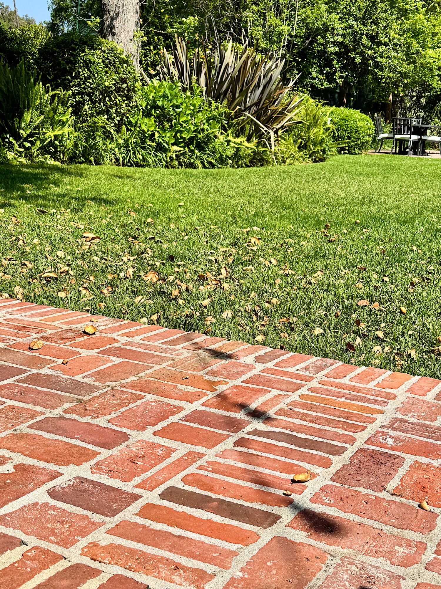 A red brick patio borders a green lawn with scattered fallen leaves, surrounded by dense shrubs and trees in a sunny garden.