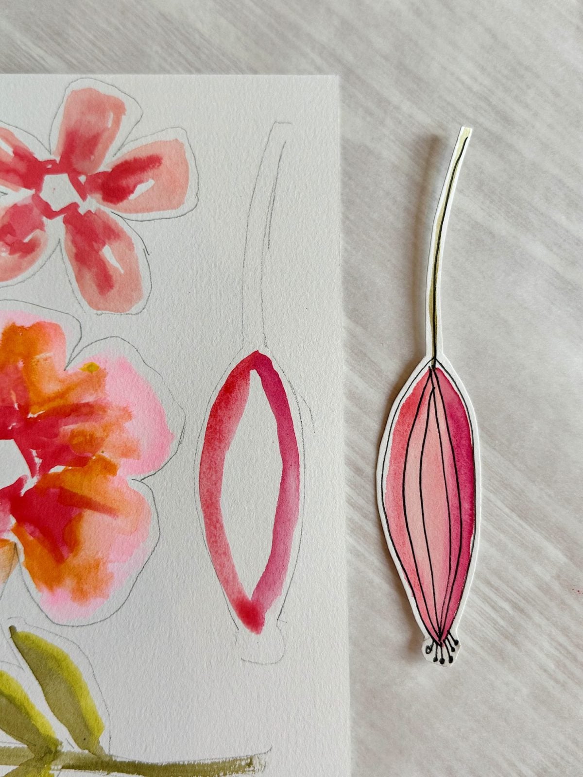 A watercolor flower painting on paper is shown next to a cutout of a petal or seed pod, both featuring pink and red tones.
