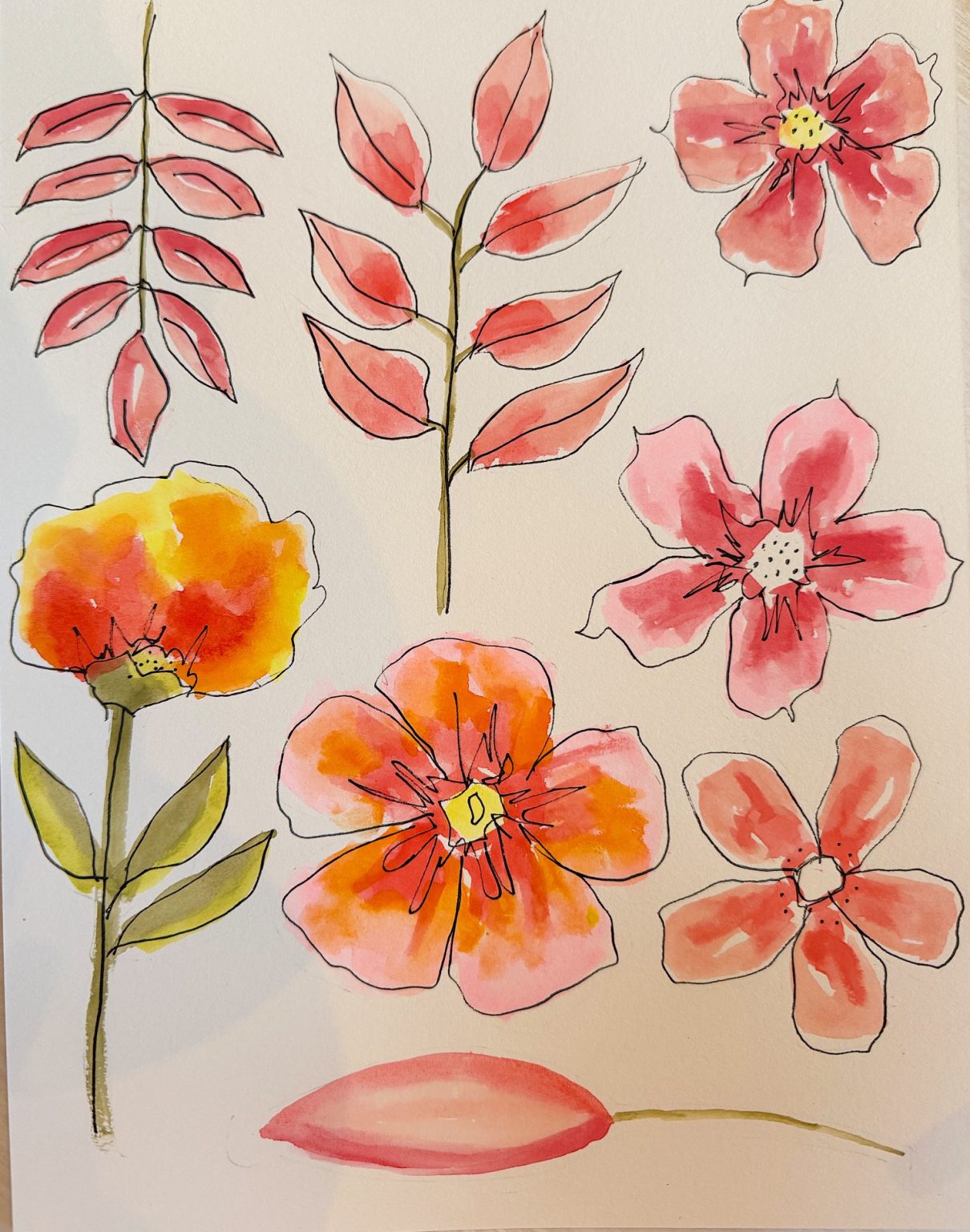 A page with watercolor and ink drawings of various pink and orange flowers and leafy branches in different styles.