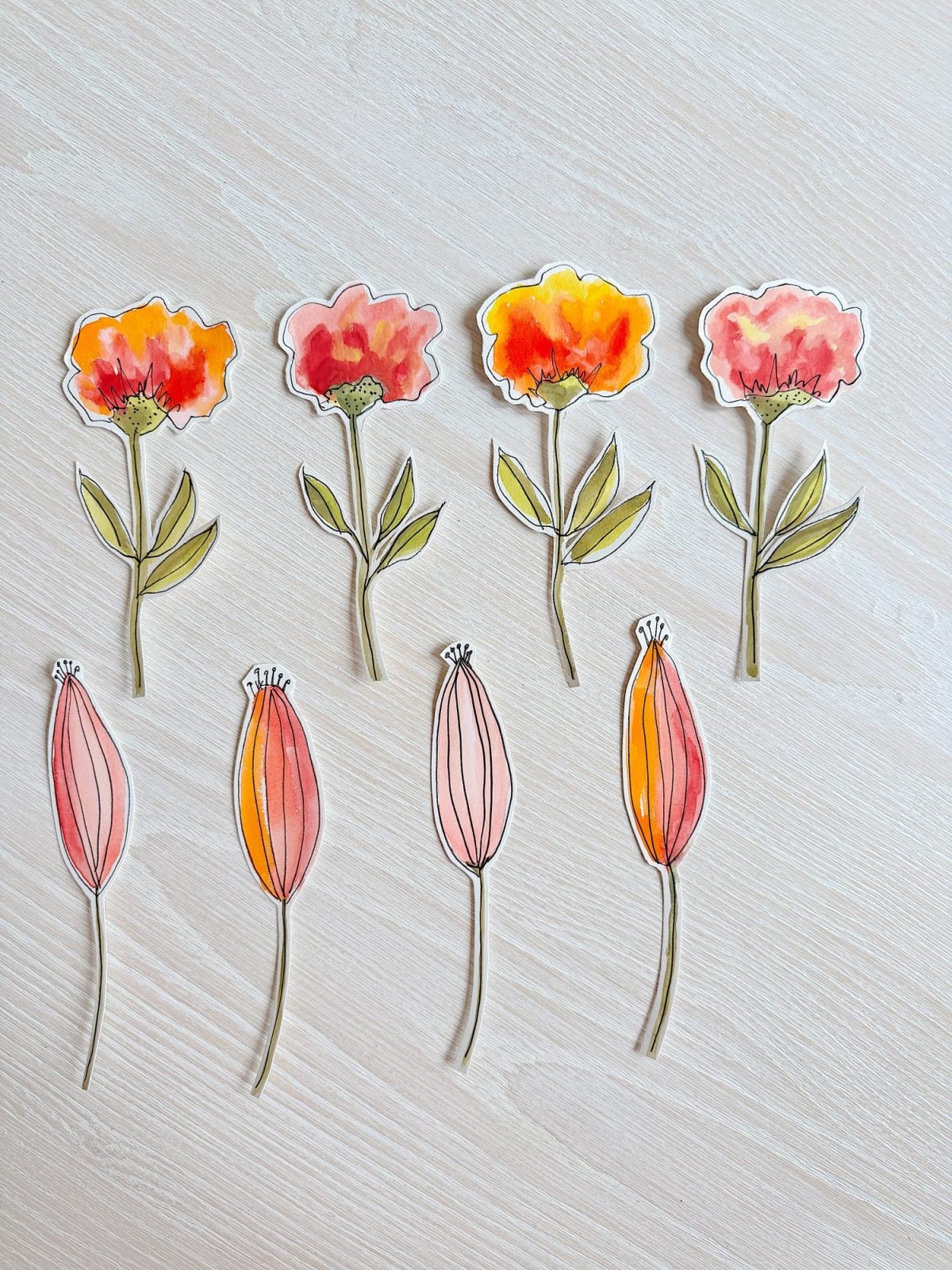 Cut-out illustrations of three orange and red flowers with stems and leaves, and four pink and orange seed pods, arranged on a light wood surface.