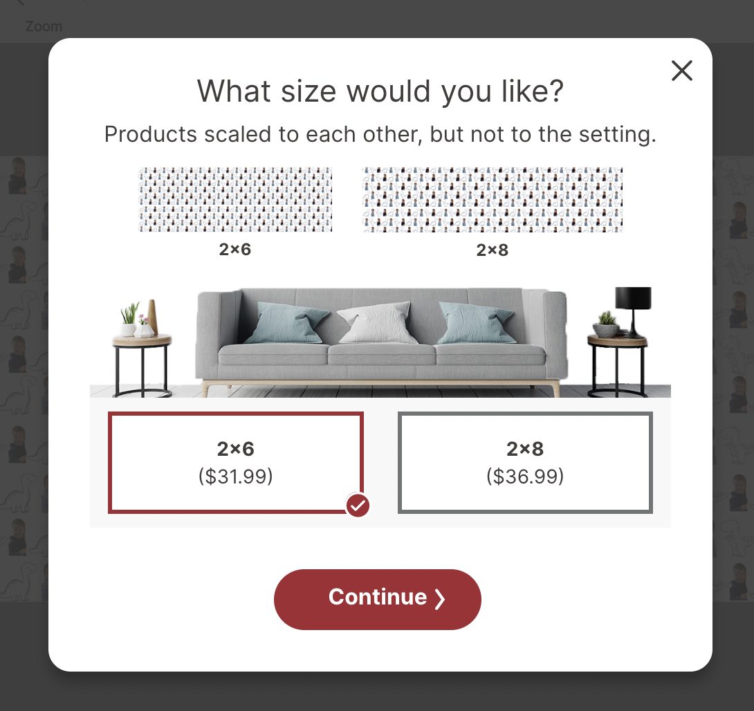 Image showing a web page asking what size is preferred for a product. Options are 2x6 inches for $31.99 and 2x8 inches for $36.99, with 2x6 selected. A "Continue" button is below.