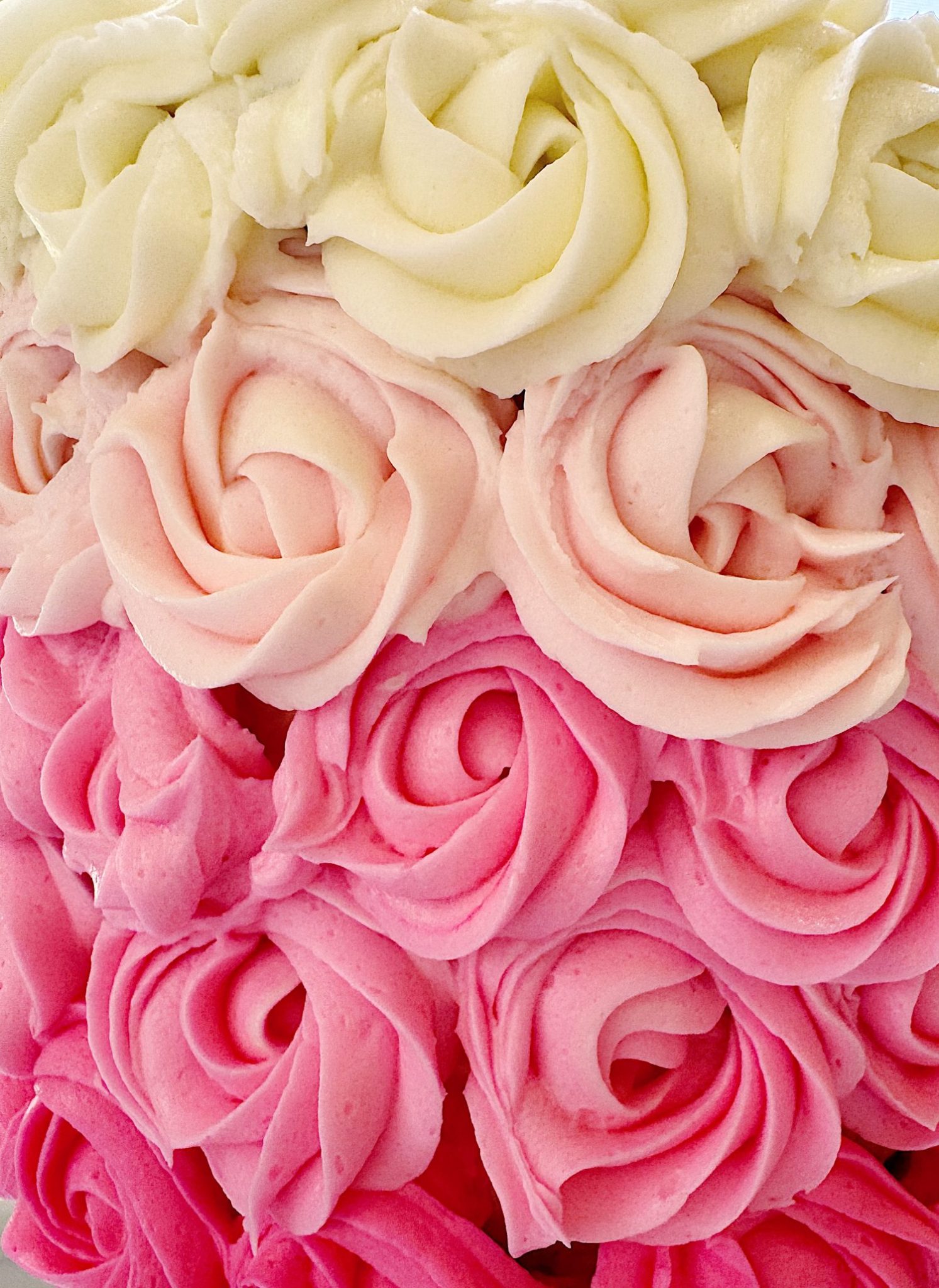 Close-up of a cake decorated with buttercream roses in ombre shades, transitioning from white at the top to light pink and then dark pink at the bottom.