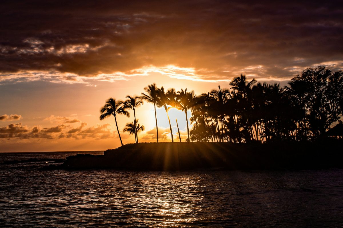 Sunset view over the ocean with palm trees silhouetted against the colorful sky and sunlight reflecting on the water.