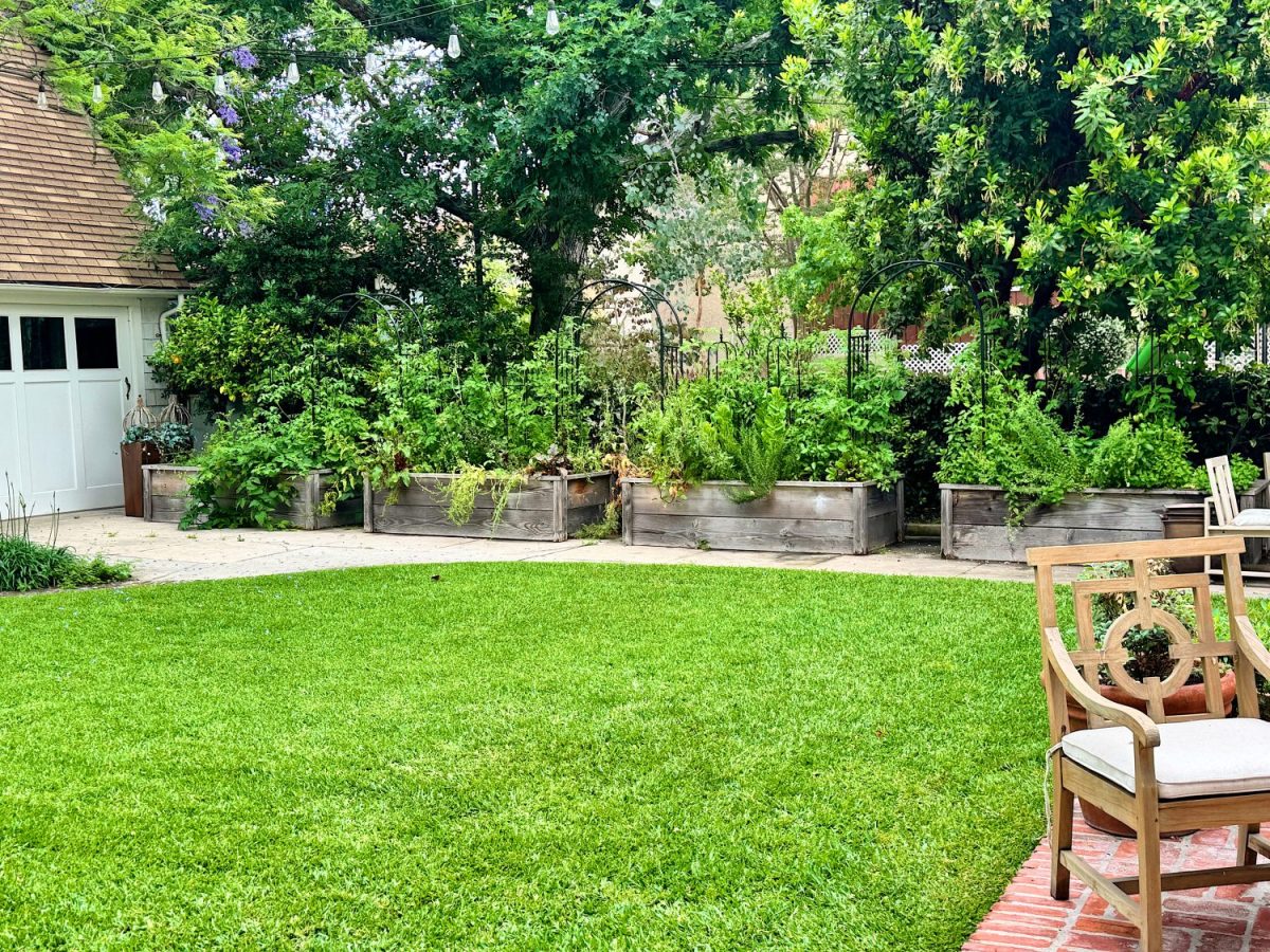 A backyard with a green lawn, wooden raised garden beds filled with plants, trees in the background, and wooden patio chairs in the foreground.