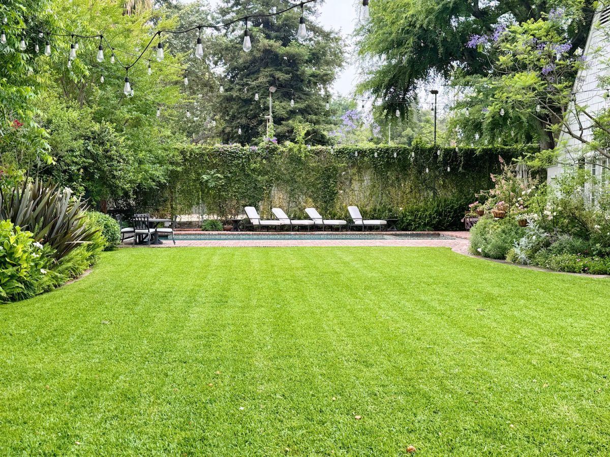 A well-maintained lawn with lounge chairs near a rectangular pool, surrounded by trees and string lights above.