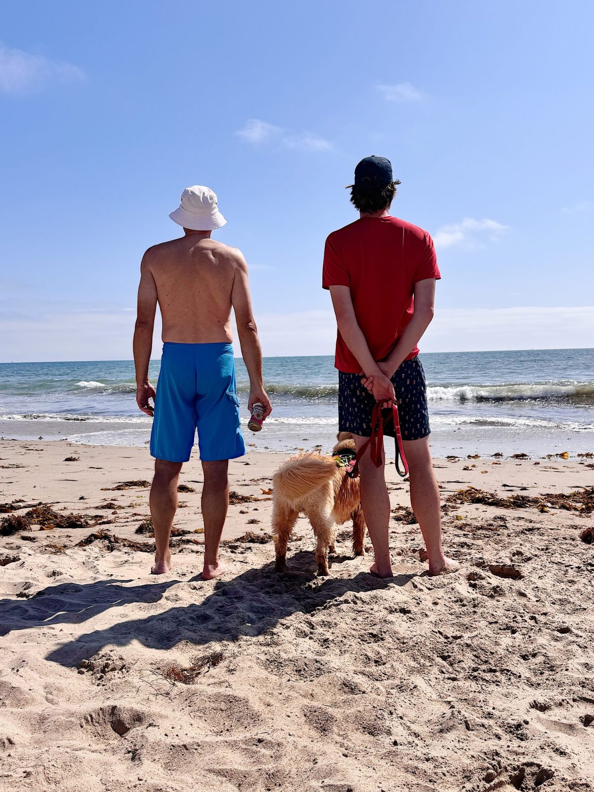 Two people and a dog stand on a sandy beach facing the ocean under a clear sky. One person holds a dog leash, and the other holds a bottle of water.