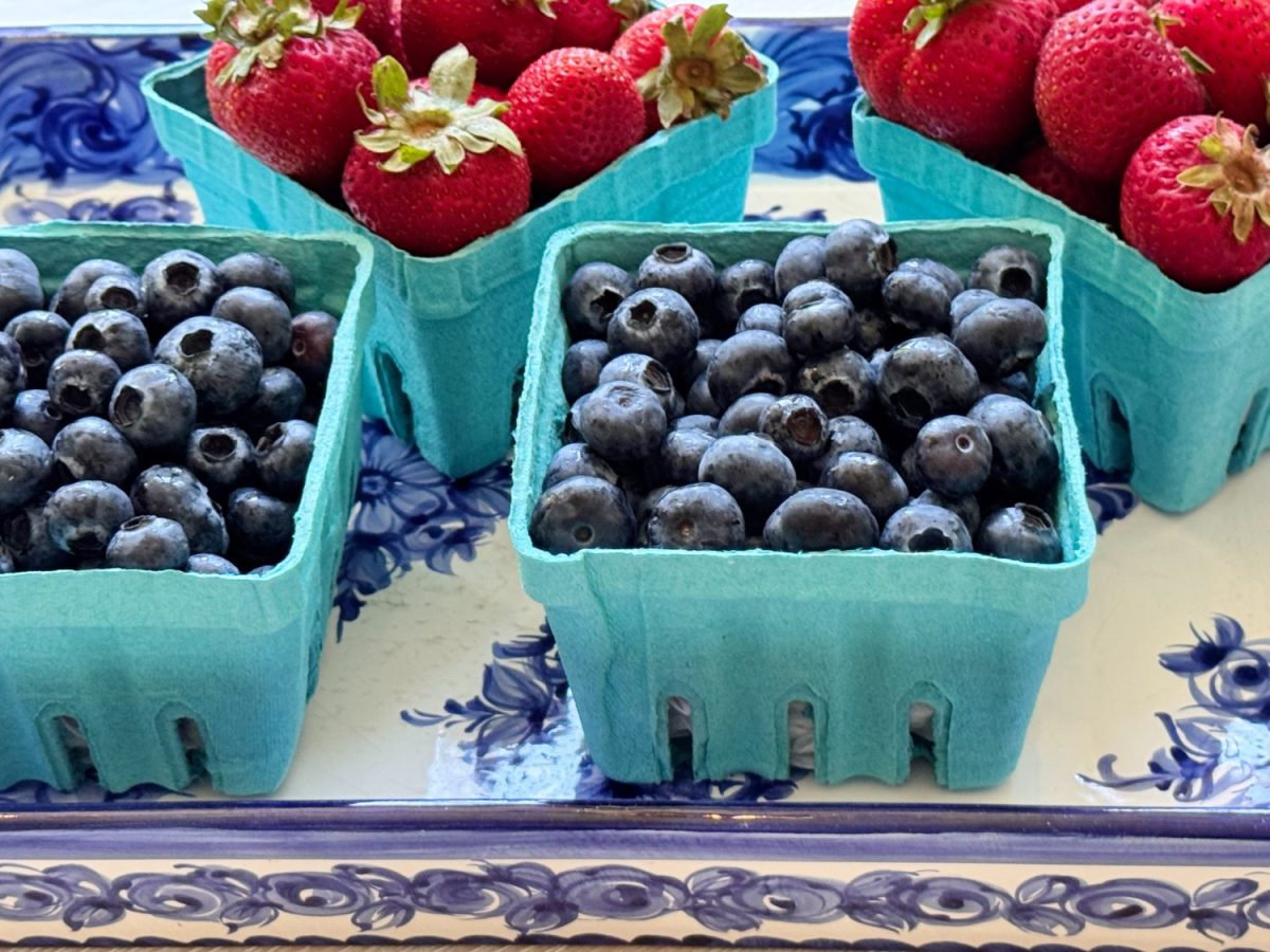 Four turquoise cartons filled with fresh blueberries and strawberries are arranged on a decorative blue and white tray.
