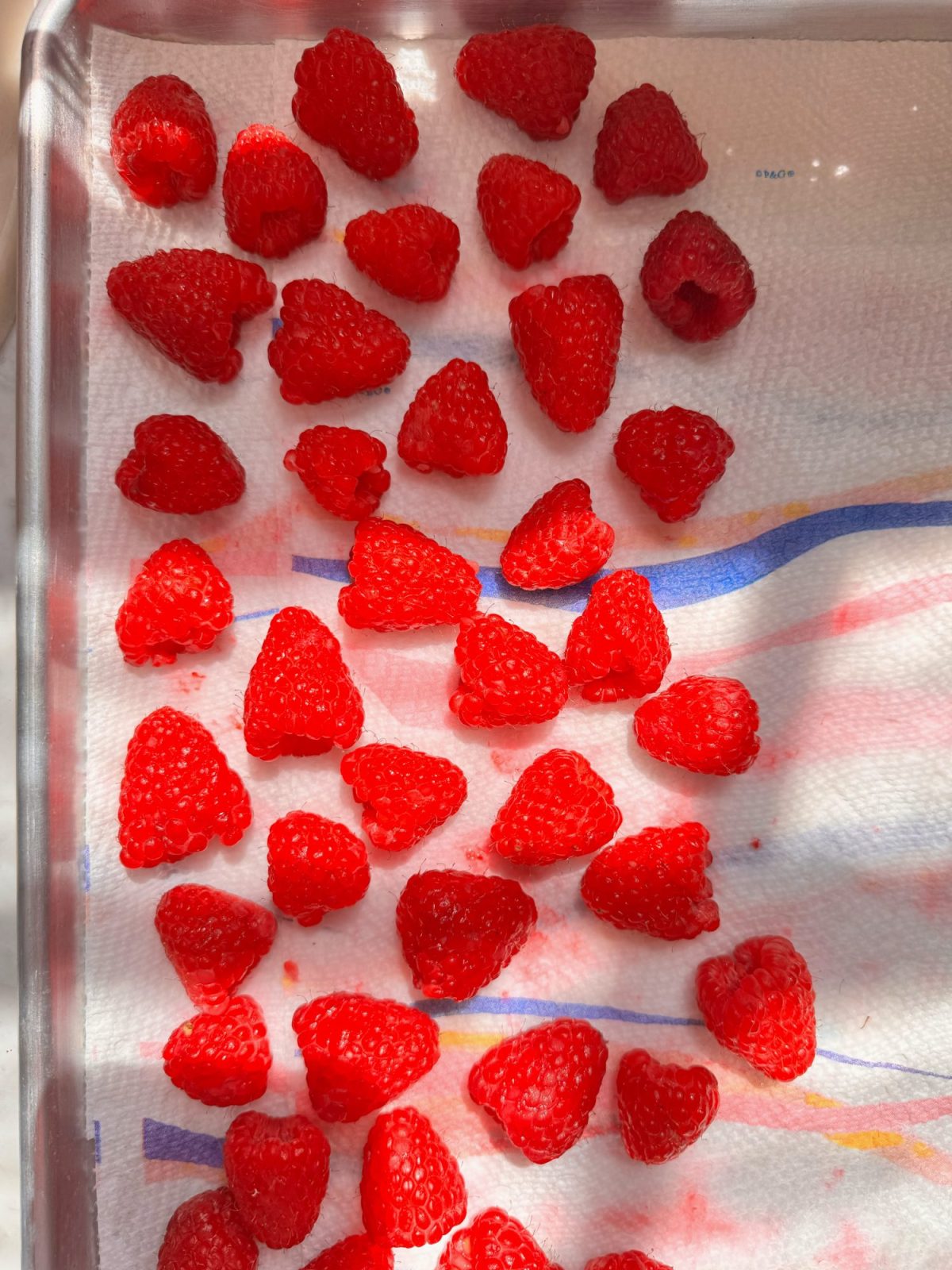 Fresh raspberries are spread out in rows on a paper towel-lined tray, with sunlight illuminating the berries.