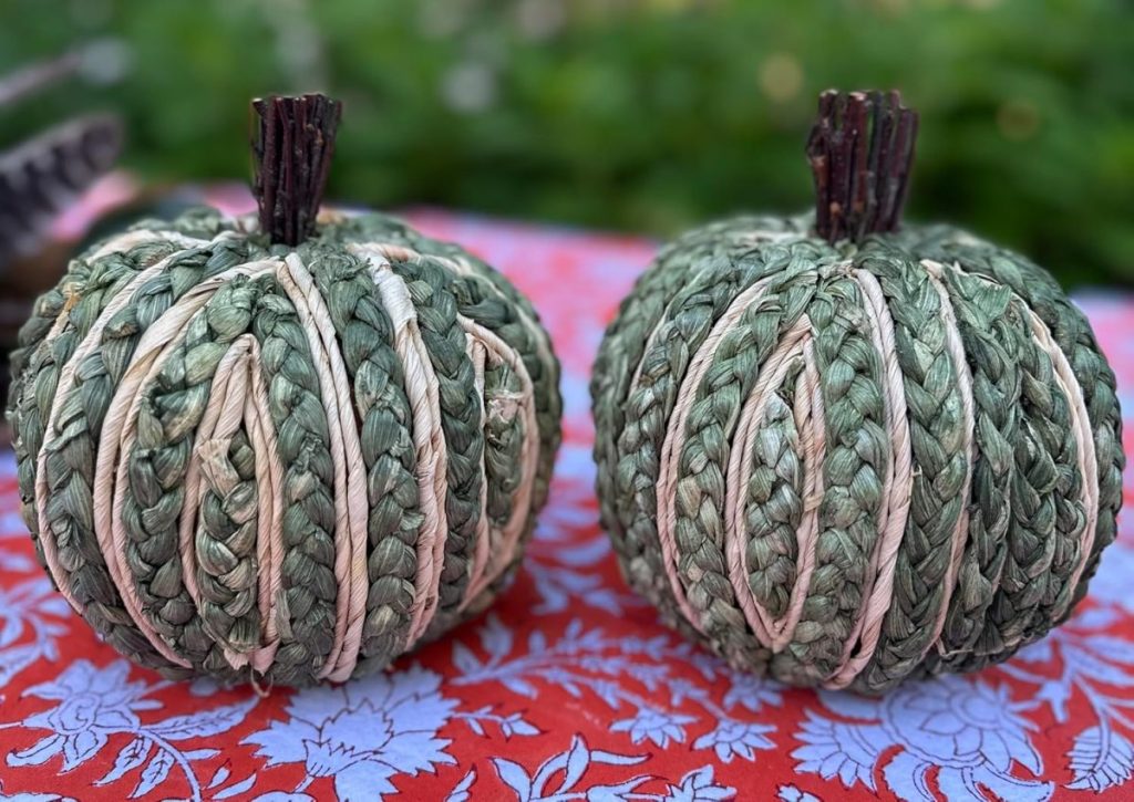 Two green and beige woven pumpkins with short brown stems sit on a red and white floral-patterned tablecloth, with greenery in the blurred background.
