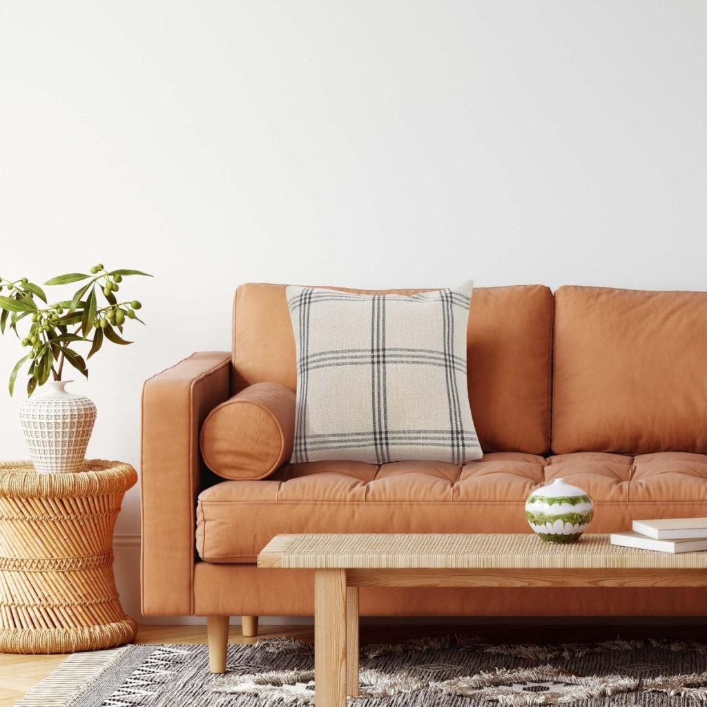 A tan leather sofa with a plaid pillow and bolster sits beside a woven side table with a plant; a wooden coffee table and patterned rug are in front.