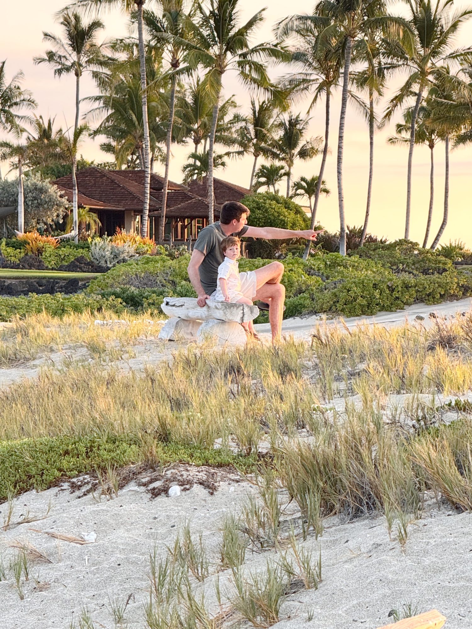 A man and a young girl sit on driftwood at a sandy beach with palm trees and a wooden building in the background. The man is pointing into the distance.