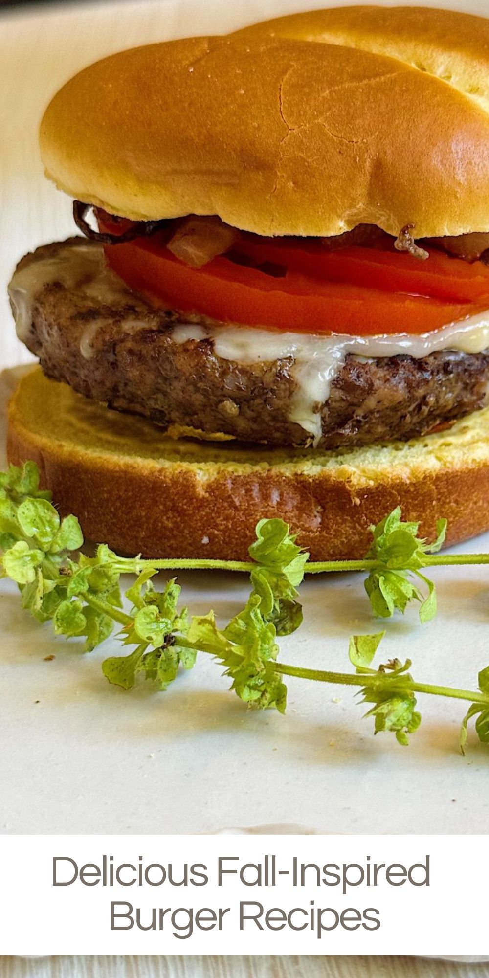 If there’s ever an excuse to fire up the grill (or the stovetop), it’s National Burger Day. Burgers are one of those classic comfort foods that can be reinvented in endless ways. 