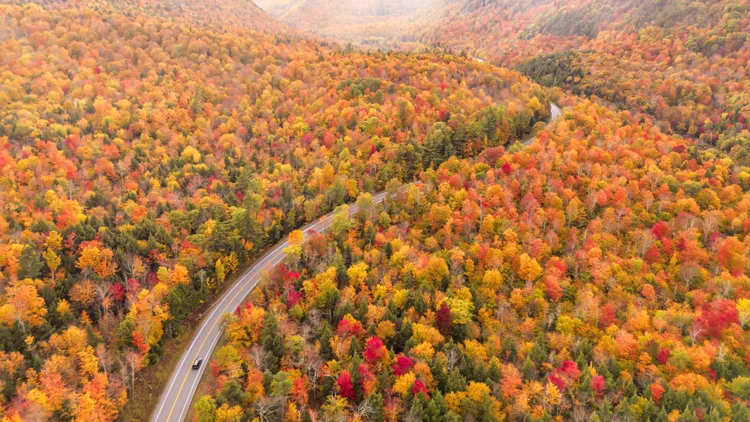 A winding road cuts through a dense forest of autumn trees with red, orange, and yellow foliage, viewed from above.