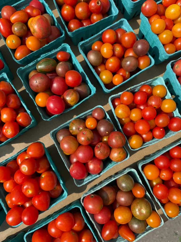 Several small blue cartons filled with various colors of cherry and grape tomatoes are arranged in a grid pattern on a table.