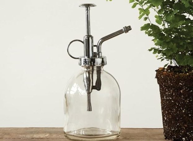 A small green potted fern with exposed soil sits next to a glass plant mister on a wooden surface, creating a simple yet elegant touch for outdoor fall decor against a plain white background.