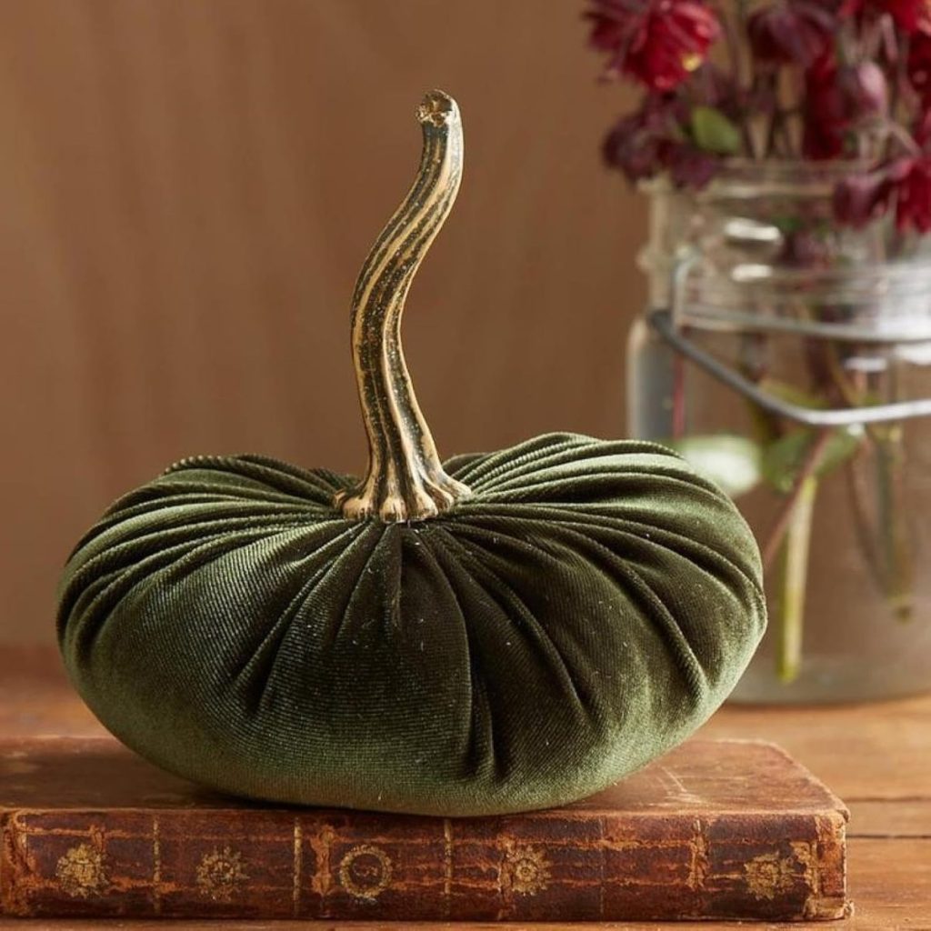 A green velvet pumpkin with a textured stem sits on an old book, with a glass jar of red flowers in the background.