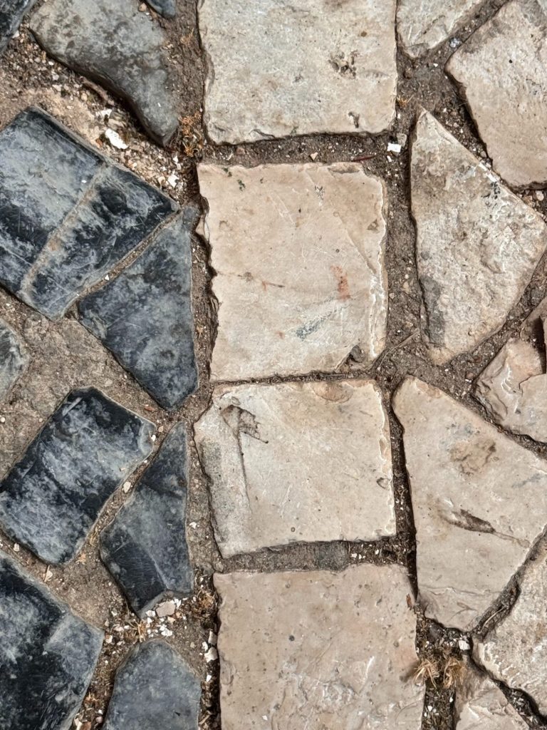 Close-up view of a cobblestone pavement with a mix of light beige and dark gray stones set in dirt.