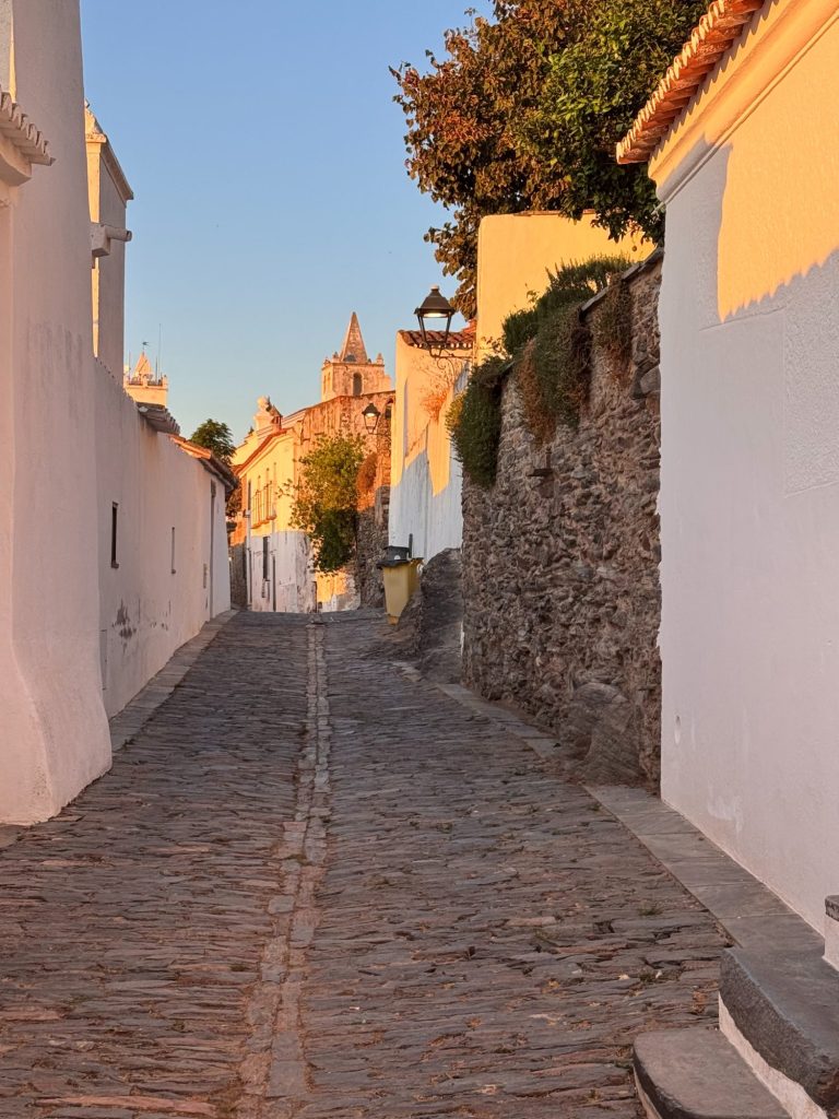 A narrow cobblestone street with white walls on both sides, leading towards historic buildings under warm sunlight, with a stone wall and greenery on the right.