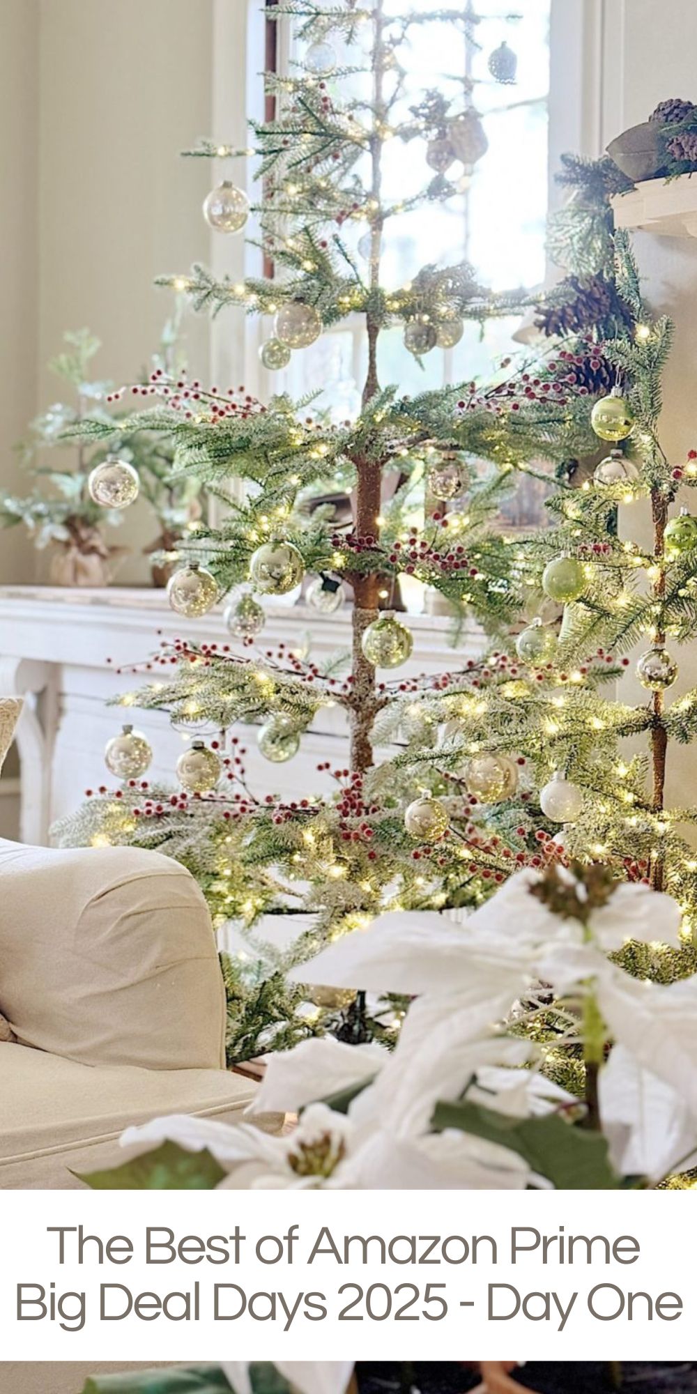 Amazon Prime Big Deal Days 2025 start today and last for only TWO days! Here are some of the best home Prime Big Deal Days ever! I have over 500 Prime deal links to share today, and these are my favorites.