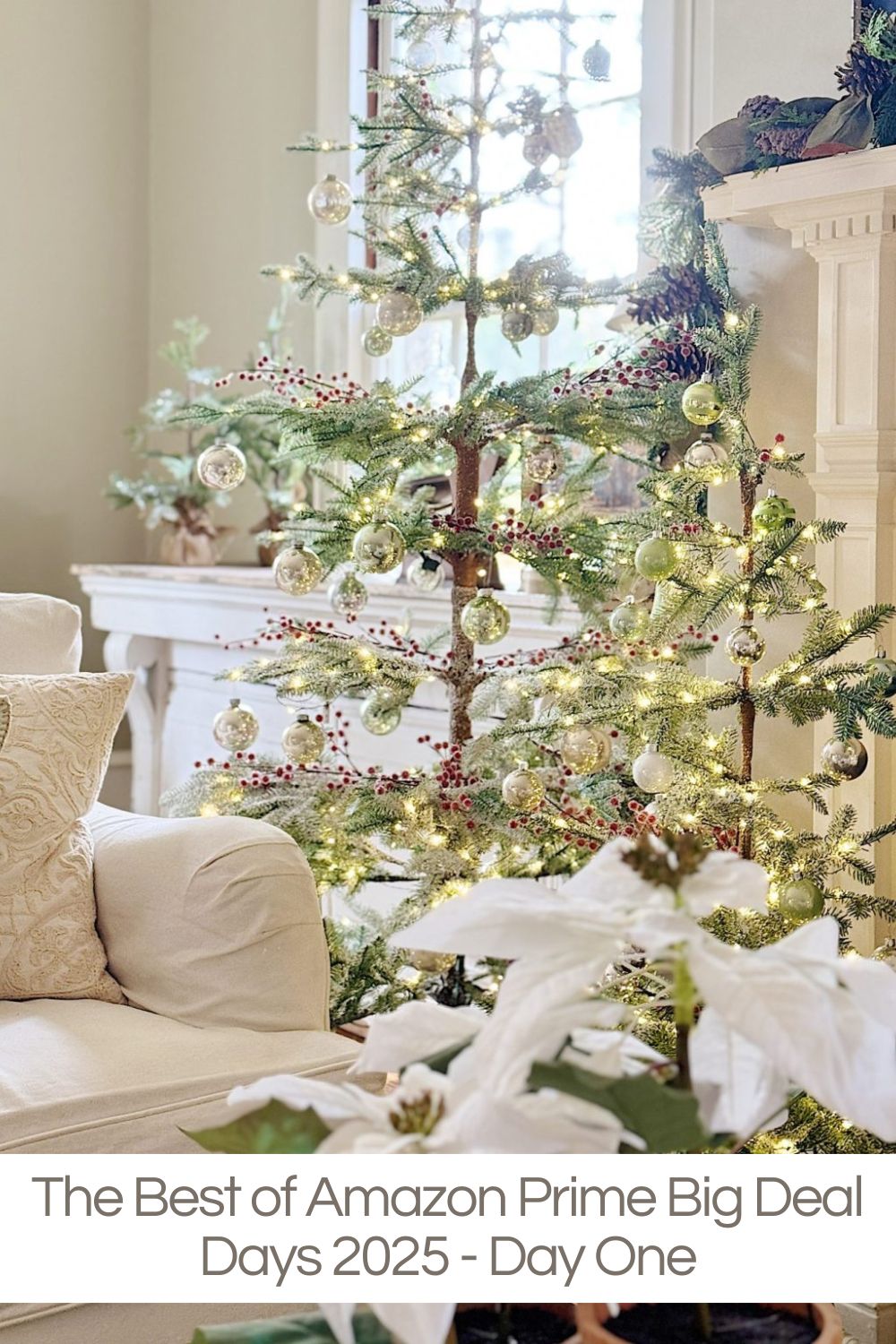 Amazon Prime Big Deal Days 2025 start today and last for only TWO days! Here are some of the best home Prime Big Deal Days ever! I have over 500 Prime deal links to share today, and these are my favorites.